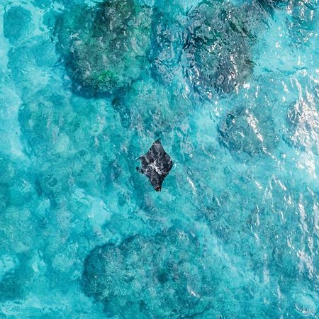 Tropical Glamping Nusa Penida - Private Romantic Seaside Bungalow Diamond Beach Pelilit Экстерьер фото